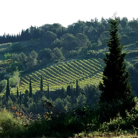 Les Jardins De Benoit By Popinns
