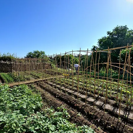 Les Jardins De Benoit By Popinns Saint-Laurent-de-la-Cabrerisse