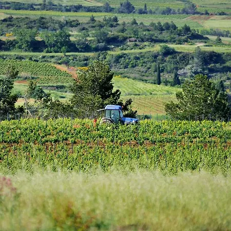 Les Jardins De Benoit By Popinns Saint-Laurent-de-la-Cabrerisse
